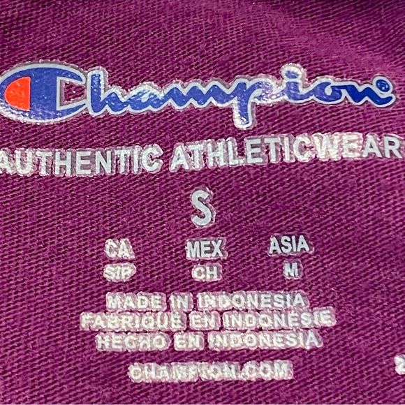 Vintage Champion Cropped Tee [2/$40] - Picture 5 of 7